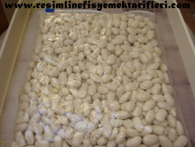 dondurucuda kışlık barbunya